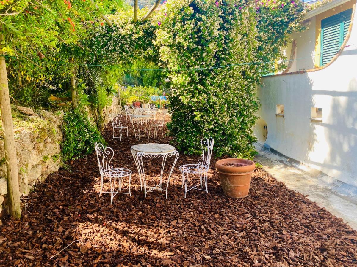 Casa Da Adoa B&B Portinho da Arrábida Eksteriør bilde