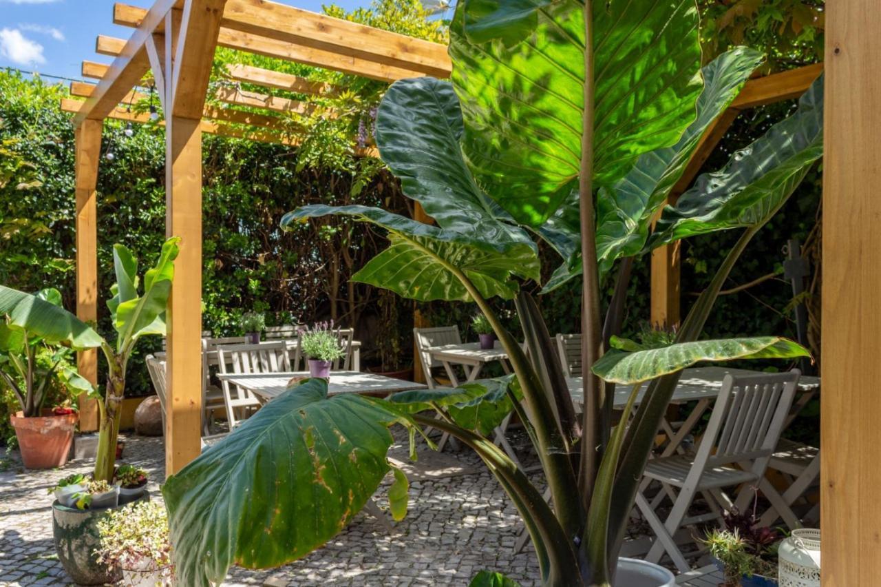 Casa Da Adoa B&B Portinho da Arrábida Eksteriør bilde