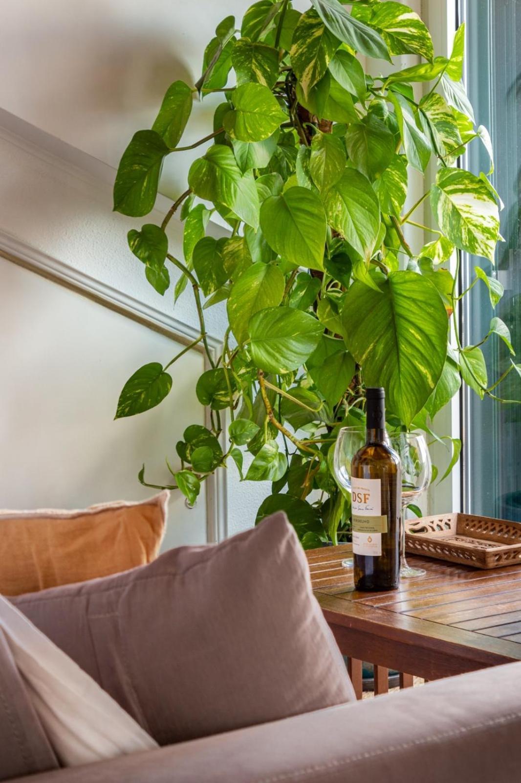 Casa Da Adoa B&B Portinho da Arrábida Rom bilde